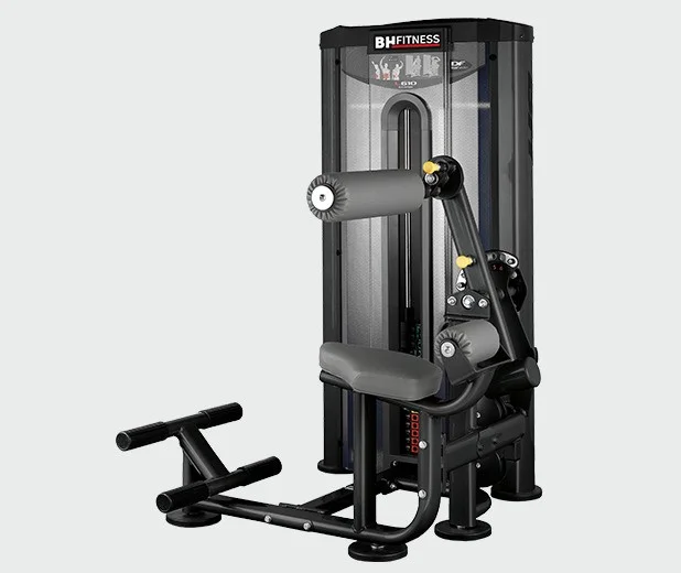 ABDOMINALE LOMBAIRE L610B BH FITNESS - Matériel sport pas cher – Meilleur rapport qualité-prix Banc De Musculation FFitness – Multifonction, Avec Station Dips Et  Développé Couché