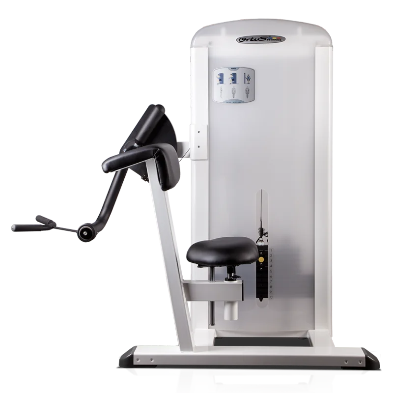 Machine Biceps MITICA: Performance et Résistance à Haute Intensité - Matériel sport pas cher – Meilleur rapport qualité-prix - {'count': 1, 'name': 'ans'}