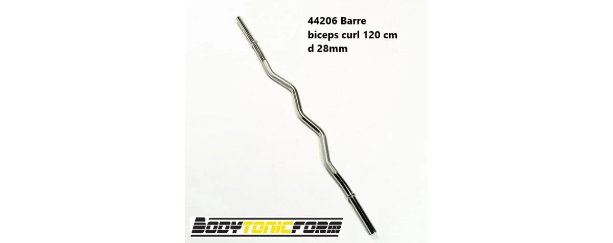 Barre Z Curl 28mm: Boostez Vos Biceps avec Efficacité - Matériel pinces sport pas cher – Meilleur rapport qualité-prix
