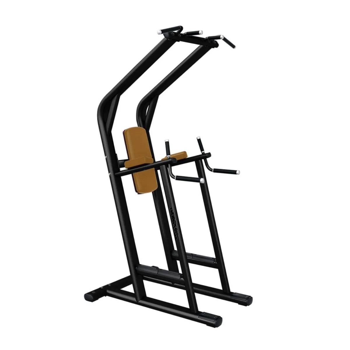 Traction / Dips / Abdominaux – LIFE FITNESS - Matériel sport pas cher – Meilleur rapport qualité-prix - Power tower