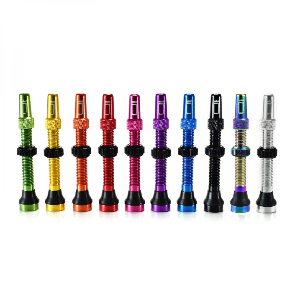 Valve DUKE tubeless 44mm - Des Équipements Pensés pour Profiter de Chaque Instant Dehors Valves de pneu tubeless auto acier 45 mm argent pour jante aluminium |  stockinger.com