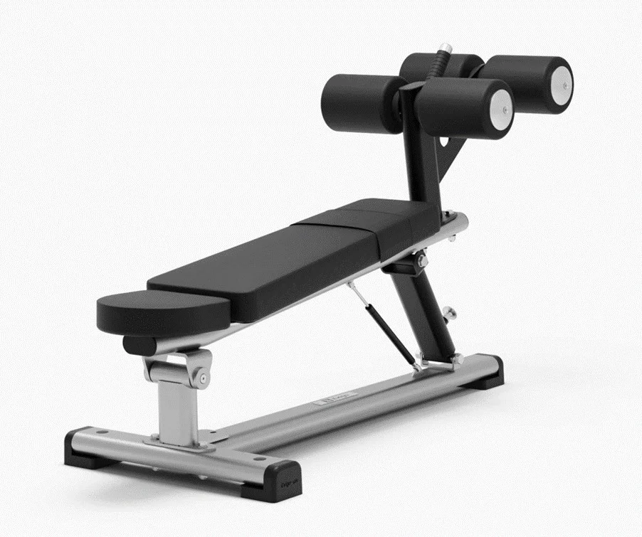 Banc Incliné Réglable Exigo: Confort et Performance Personnalisée - Matériel sport pas cher – Meilleur rapport qualité-prix Physionics Banc Pliable avec Station à Dips : Avis & Test (2026) |  bancmusculation.fr