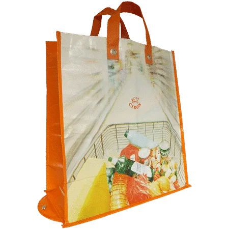 Sac cabas pliable Vins Rouges Harmonieux Occasion