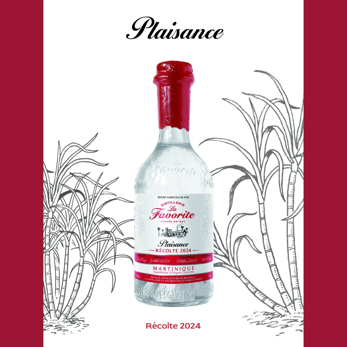 La Favorite Plaisance Canne Rouge 2024 – 51° - Vins Rouges Harmonieux pour Chaque Occasion Vieillissement / Conservation du vin : tout ce qu'il faut savoir ! -  1envie1vin.com | Blog