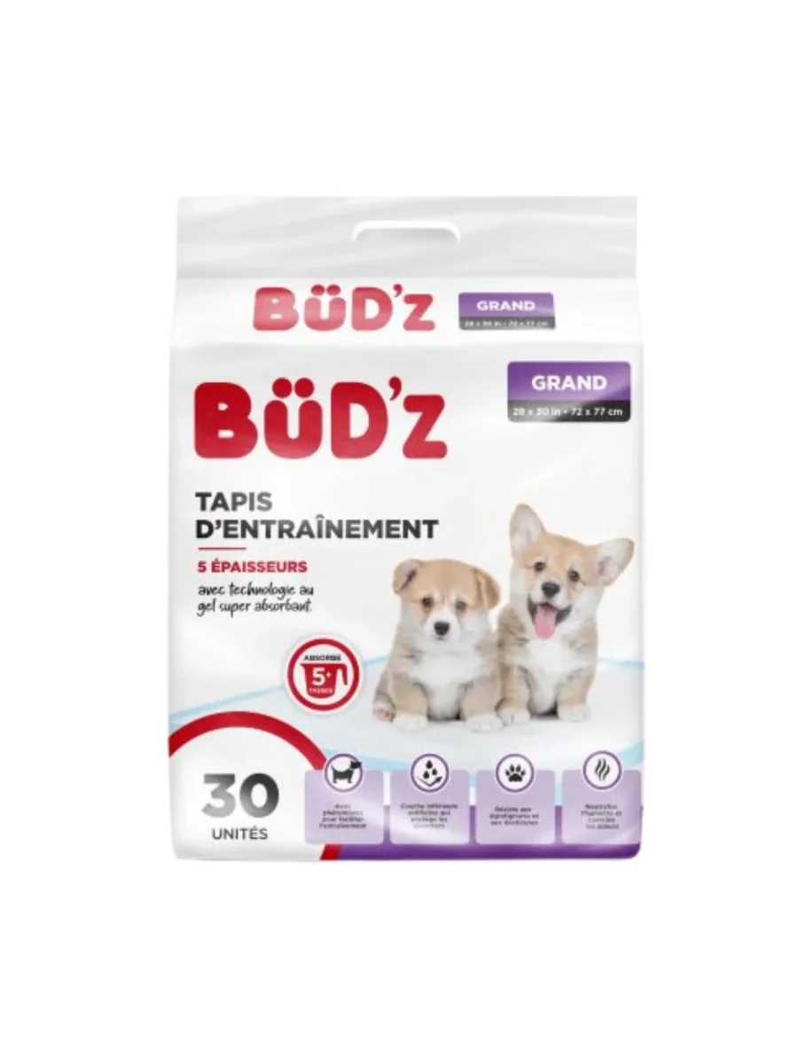 BUD'Z - Tapis d'entrainement 28" x 30" (30 unités) - Saldi Straordinari – Offerte Speciali Disponibili Adesso - course reebok jet z tapis entrainement unité