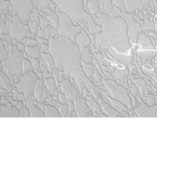 Verre Delta Blanc brillant imprimé – épaisseur 4mm - Éclairage de qualité avec frais de port offerts - {'count': 1, 'name': 'Glass'}