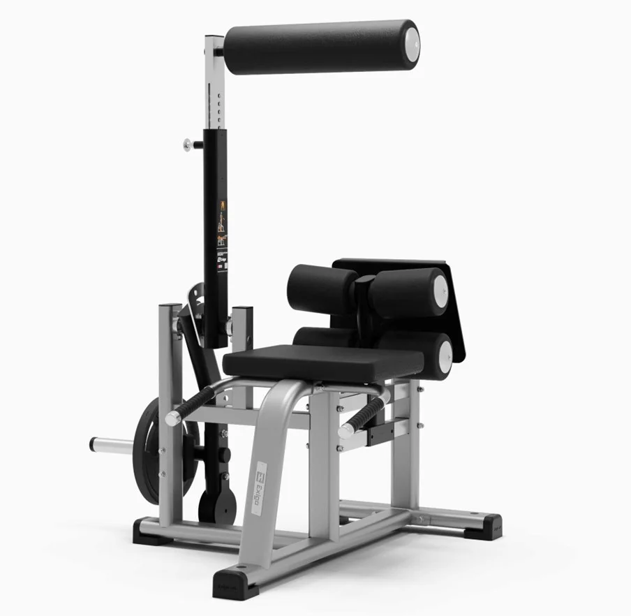 Exigo GHD : Renforcez vos muscles avec une Gymequip machine à charge libre - Matériel sport pas cher – Meilleur rapport qualité-prix