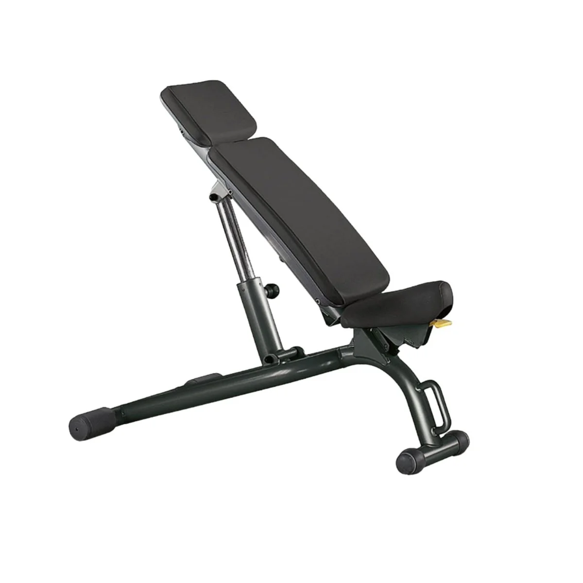 Banc musculation ajustable – TECHNOGYM - Matériel sport pas cher – Meilleur rapport qualité-prix Matériel de sport d'occasion et reconditionné – Cardio et musculation  professionnels